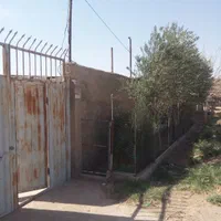 دامداری پروار گوسفند 100راسی در لجران|فروش دفتر صنعتی، کشاورزی، تجاری|گرمسار, |دیوار