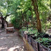 زمین(با کسر حریم خیابان) 158مترمربع سنددار پل عراق|فروش زمین و ملک کلنگی|رشت, دباغیان|دیوار