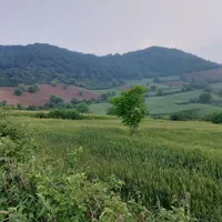 ۴۰۰۰متری کشاورزی روستای زیبای قلندر ایش کردکوی|فروش زمین و ملک کلنگی|کردکوی, |دیوار