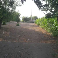 ده هزار زمین بر اتوبان اصلی|فروش دفتر صنعتی، کشاورزی، تجاری|باقرشهر, |دیوار