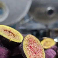 دستگاه خشک کن میوه سبزی دمنوش|ماشین‌آلات صنعتی|مشهد, راهنمایی|دیوار