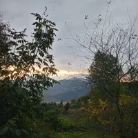 کل زمین ۱۲۰۰ متر.در متراژ کمتر هم ب فروش میرسد|فروش زمین و ملک کلنگی|توتکابن, |دیوار