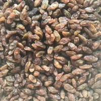 کشمش افتابی|عمده‌فروشی|قرچک, |دیوار