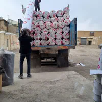 طرح زیبا پالاز موکت|موکت|زنجان, |دیوار