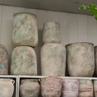 مشاوره خرید گل و گیاه اپارتمانی،ویزیت گل و گیاه|خدمات باغبانی و درختکاری|مشهد, آزادشهر|دیوار
