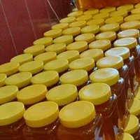 عسل طبیعی  عسل کریستال عسل تغذیه ارده اردکان معجون|خوردنی و آشامیدنی|مشهد, سپاد|دیوار