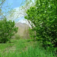 باغ روستای کهندان بهشت قم