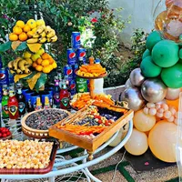 اجاره روزانه باغ ویلا شیک در کوچه تالار باغ صفا|اجارهٔ کوتاه‌مدت ویلا و باغ|همدان, |دیوار