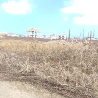 زمین سند دار شهرک صدف منطقه آزاد زیباکنار|فروش زمین و ملک کلنگی|خمام, |دیوار