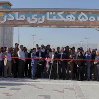 288متر تجاری مسکونی تازه تفکیک احمد ابن موسی نواب|فروش زمین و ملک کلنگی|شیراز, کوشک میدان|دیوار