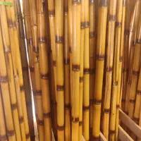 نی بامبو اصل&چوب بامبو|گل مصنوعی|تهران, هفده شهریور|دیوار