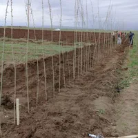 باغبانی هرس طراحی فضای سبزوکاشت انواع نهال وگل|خدمات باغبانی و درختکاری|اردبیل, |دیوار