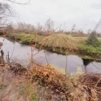 خانه روستایی۱۳۵۰متری(حتی پول زمینشم نیست)/کوچصفهان|فروش زمین و ملک کلنگی|رشت, فلسطین|دیوار
