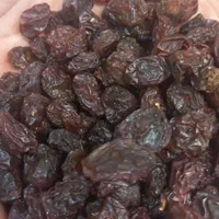 کشمش گله ( درگز ) صدرصد آفتابی ،مخصوص آبگیری|خوردنی و آشامیدنی|مشهد, تلگرد|دیوار