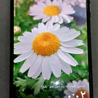 هواوی Ascend G510 با حافظهٔ ۴ گیگابایت|موبایل|اصفهان, شاهد|دیوار