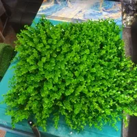 پخش چمن مصنوعی،گرینوال،فنس چمنی و برگی|خدمات باغبانی و درختکاری|اسلام‌شهر, |دیوار