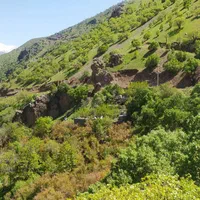 سوییت دوخوابه ی ویوی رو به جنگل وکوه شهرستان پاوه|اجارهٔ کوتاه‌مدت آپارتمان و سوئیت|پاوه, |دیوار