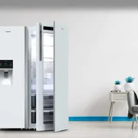 یخچال و فریزر دیپوینت