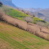 ویلا اجاره ای در روستای سرسبز و زیبای قورچای|اجارهٔ کوتاه‌مدت ویلا و باغ|رامیان, |دیوار