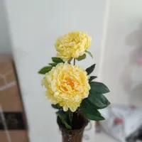 گل شاخه ای|گل مصنوعی|پرند, |دیوار