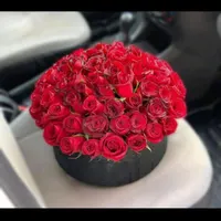 ارسال گل فروشی  باغ گل رز هلندی|گل و گیاه طبیعی|تهران, افسریه|دیوار