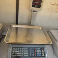 انواع ترازوهای توزین صدر ومحک رادین