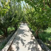 اجاره کوتاه مدت ویلا دوخوابه لاهیجان|اجارهٔ کوتاه‌مدت آپارتمان و سوئیت|لاهیجان, شیخ زاهد|دیوار