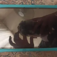 تبلت 8 اینچی نارتب