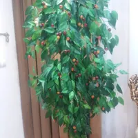بخاطر نداشتن جا|گل مصنوعی|تبریز, |دیوار