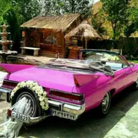 اجاره ماشین عروس کلاسیک قدیمی مجالس تشریفات کلیپ