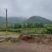 فروش زمین مسکونی سند دار در لیسار|فروش زمین و ملک کلنگی|تالش, هشتپر|دیوار