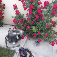 لوله بازکنی فنرزنی شمال تهران -24ساعته- صد٪تضمینی|خدمات پیشه و مهارت|تهران, الهیه|دیوار