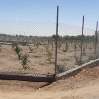 زمین کشاورزی و مجوز برای دامداری مرغداری  گلخانه|فروش دفتر صنعتی، کشاورزی، تجاری|شاهین‌شهر, مورچه خورت|دیوار