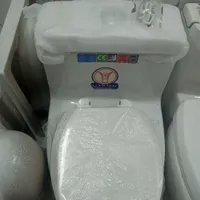 توالت فرنگی