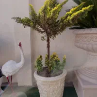 گلدان بتنی فلاورباکس فایبرگلاس مقاوم سیمانی باغی|مصالح و تجهیزات ساختمان|آستارا, |دیوار