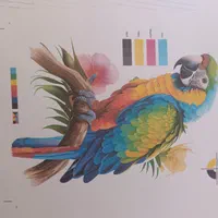 پرینتر رنگی اپسون