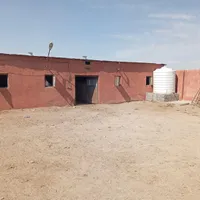اسب استبل اصطبل