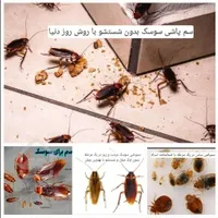 سمپاشی ساس و سوسک سم پاشی با ضمانت نامه کتبی ۱ساله|خدمات نظافت|تهران, یافت‌آباد|دیوار