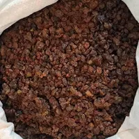 پخش کشمش آفتابی میدان تره بارمرکزی|خوردنی و آشامیدنی|تهران, شهرک شریعتی|دیوار