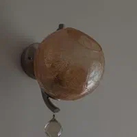 لوستر