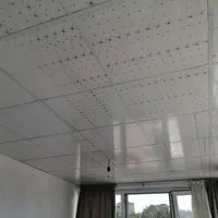 سقف کاذب پی وی سی pvc تایل شبکه ۶۰.۶۰ سقف کاذب|مصالح و تجهیزات ساختمان|تهران, بلورسازی|دیوار