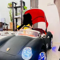 ماشین شارژی کنترلی