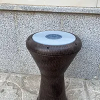 تیمپو پژواک سالم کارنکرده