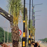 بهشت پالم مرکز نخیلات و