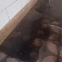 کف سابی کفسابی کف ساب و سنگ ساب