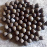 تسبیح|بدلیجات|شیراز, شاهچراغ|دیوار