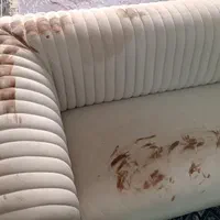 قالیشویی و مبل شویی لوتوس کمالشهر خرمدشت حصارک|خدمات نظافت|کرج, کمالشهر|دیوار