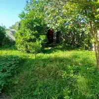 زمین ۲۰۲ متری / جنگلی / مسکونی / در زیباکنار|فروش زمین و ملک کلنگی|رشت, منظریه|دیوار
