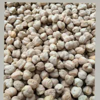 پخش عمده نخود کرمانشاه