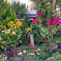 خدمات حرفه‌ای باغبانی و گل‌ در سراسر تهران|خدمات باغبانی و درختکاری|تهران, پاسداران|دیوار